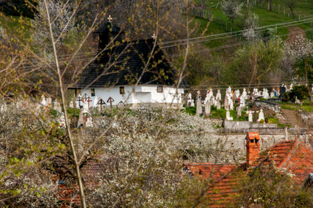 A view of the old cemetery in the countryside of Transylvaniaの写真素材
