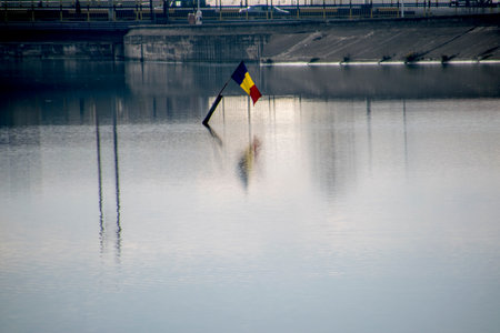 Flag on the pole in the river.