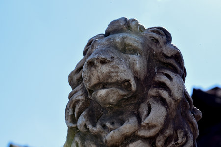 Statue of a lion in the old cemetery, close-upの写真素材