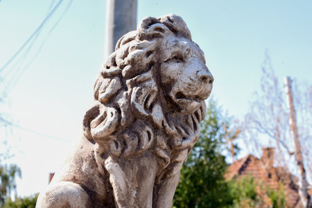 Stone lion statue in the park, close up of stone lion headの写真素材