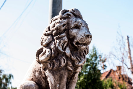 Lion statue in Chiangmai province, Thailand.の写真素材