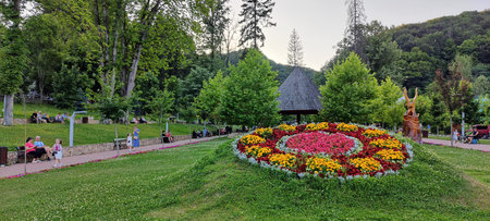 Beautiful flowerbed in the park in summerの写真素材
