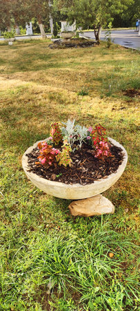Flowers in a flowerpot on the lawn in the park.