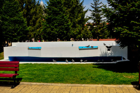 Pigeons in the park.の写真素材