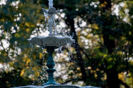 Fountain in the park on a rainy day. Shallow depth of fieldの写真素材