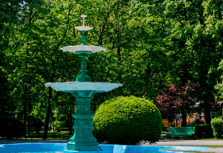 Fountain in the park on a background of green trees and bushesの写真素材