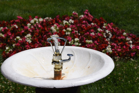 Water faucet and flowers in the garden, stock photo imageの写真素材