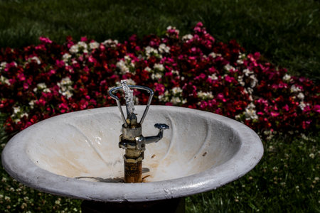 Water faucet in the garden with flowers in the backgroundの写真素材