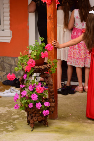 Little girls decorating a flower pot with geraniums in the garden.の写真素材