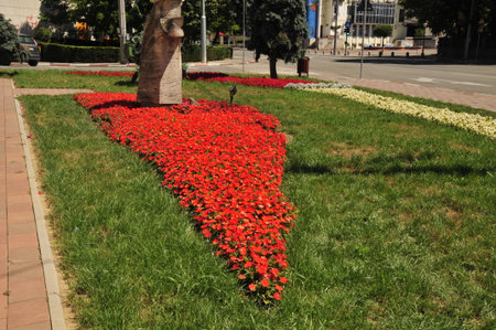 Flowerbed in the city center of St. Petersburg, Russiaの写真素材