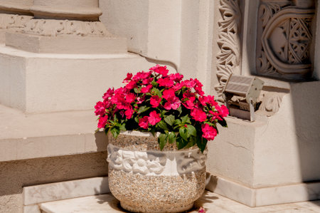 Flowerpot with pink flowers on the stairs of an old houseの写真素材
