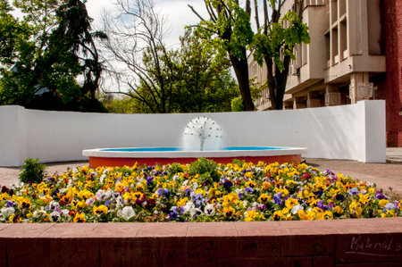 Colorful flowerbeds in the shape of a fountain on the streetの写真素材