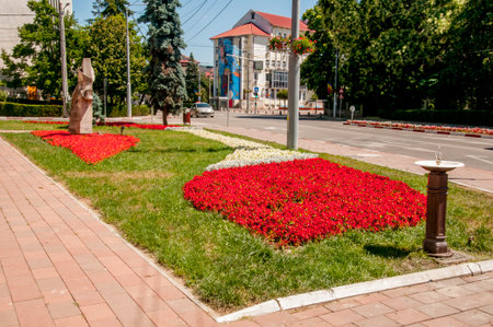 Flowerbed with red and white tulips in the city parkの写真素材