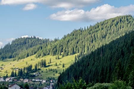 Mountain landscape with coniferous forest and village in the background