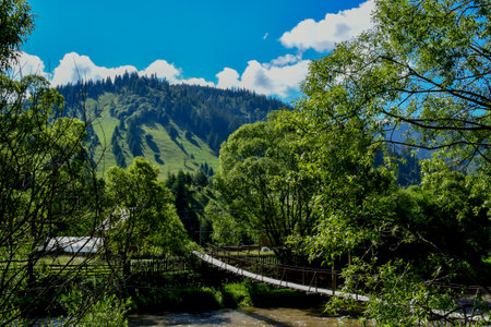 Wooden bridge over the river in the mountains. Beautiful summer landscape