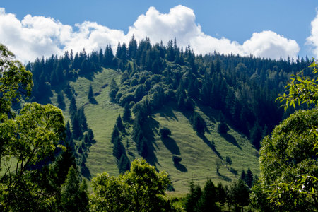 Beautiful mountain landscape.