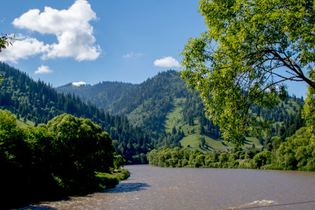 Beautiful mountain landscape with a river and green trees on a sunny day