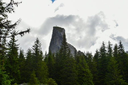 Rocky peak in the Alps in summer, Italy