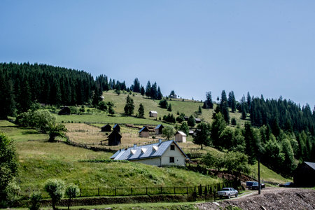 Village in Carpathian mountains, Ukraine. Summer landscape.