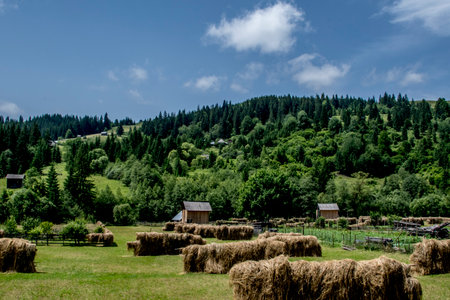 Meadow with hay bales in the Carpathian mountains
