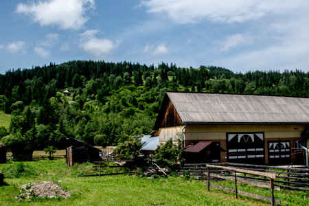 Old wooden house in the mountains on a background of green forest.