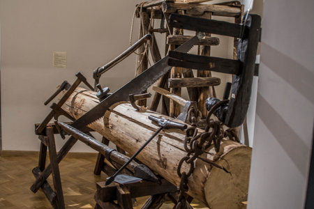 Exhibits of the Museum of Natural History in Milan.の写真素材