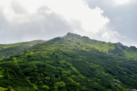 Mountain landscape in Carpathian mountains. Ukraine, Europe.