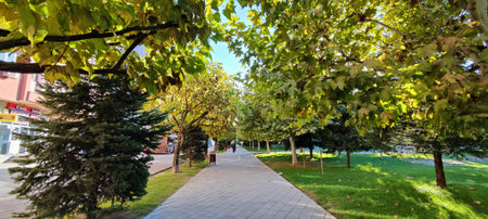 Panoramic view of the city park with green grass and treesの写真素材