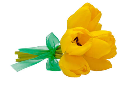 bouquet of yellow flowers tied with green ribbonの写真素材