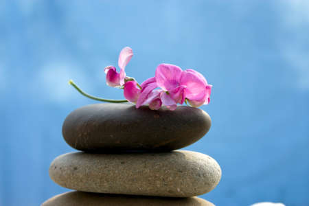 Zen stones with a pink flower on a background of blue skyの写真素材