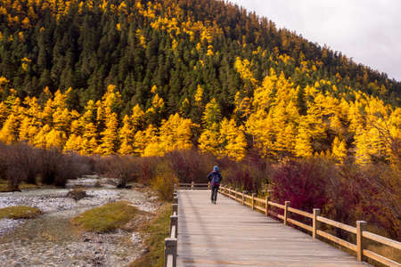 Traveller hiking to Yading National Park to see the beauty of the autumn leaves and snowy mountainsのeditorial素材