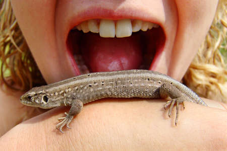 Lizard on the girl's hand on the mouth background.                               の写真素材