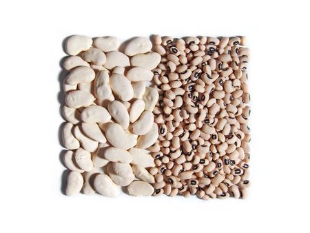 Indian food. Bean. White theme. Isolated on white.                                    の写真素材