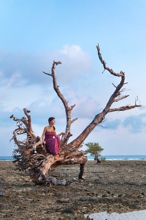 Beautiful woman in indian bright dress is sitting on the snag on the tropical coastline backgroundの写真素材