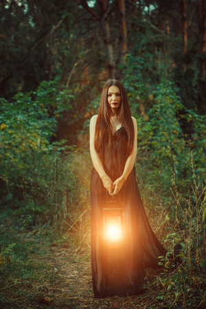 Beautiful witch with the magic lantern invites you into the forest.