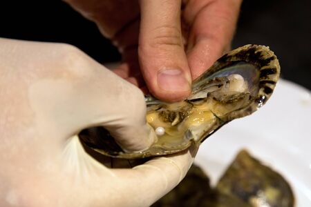 Worker take the pearl from the shell