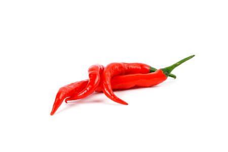 red hot chili pepper isolated on a white backgroundの写真素材