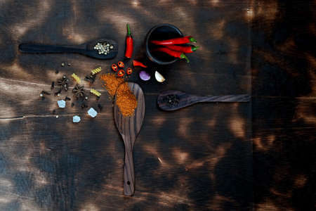 red chili and tomato, salt, garlic, rosemary on a dark wooden background; ingredients for cooking; cover cookbook; asian cuisine, free space for textの写真素材