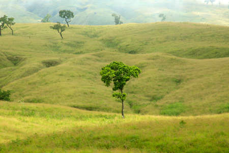 The scenery is presented on Mount Rinjaniの写真素材
