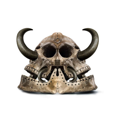 twofold mysterious skull with sharp hornsの写真素材
