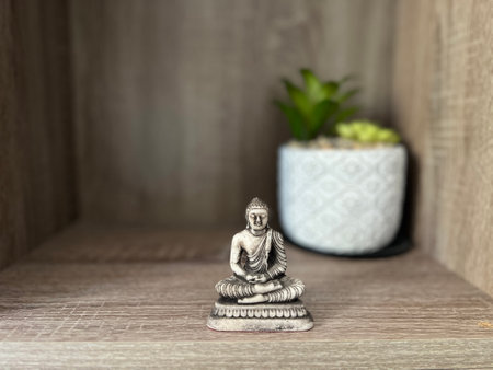 Serene Buddha Statue with Succulent Plant in Modern Decorの写真素材