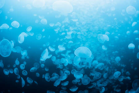 Waterの写真素材