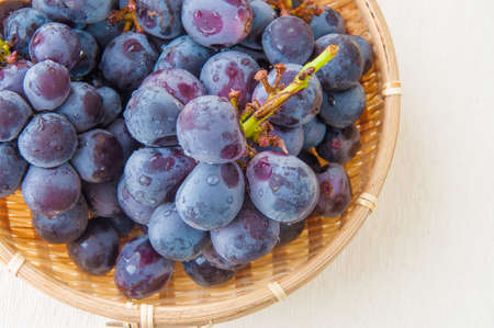 Grapeの写真素材