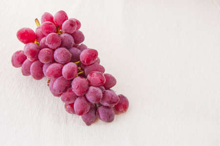 Grapeの写真素材