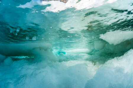 Drift iceの写真素材