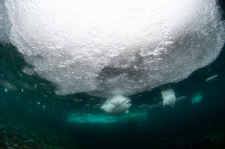 Drift iceの写真素材