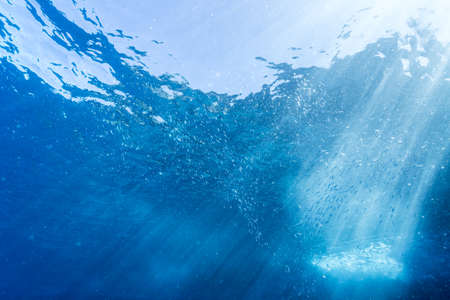 Rays of sunlight into the seaの写真素材