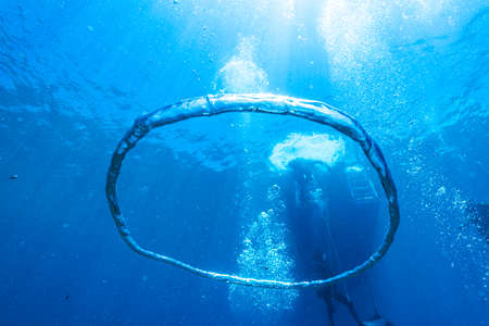 Diver's Bubbleの写真素材