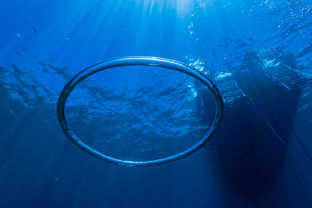 Bubble Ringの写真素材
