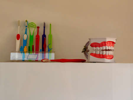 Dentist's office. A set for teaching and demonstrating the correct brushing of teeth.